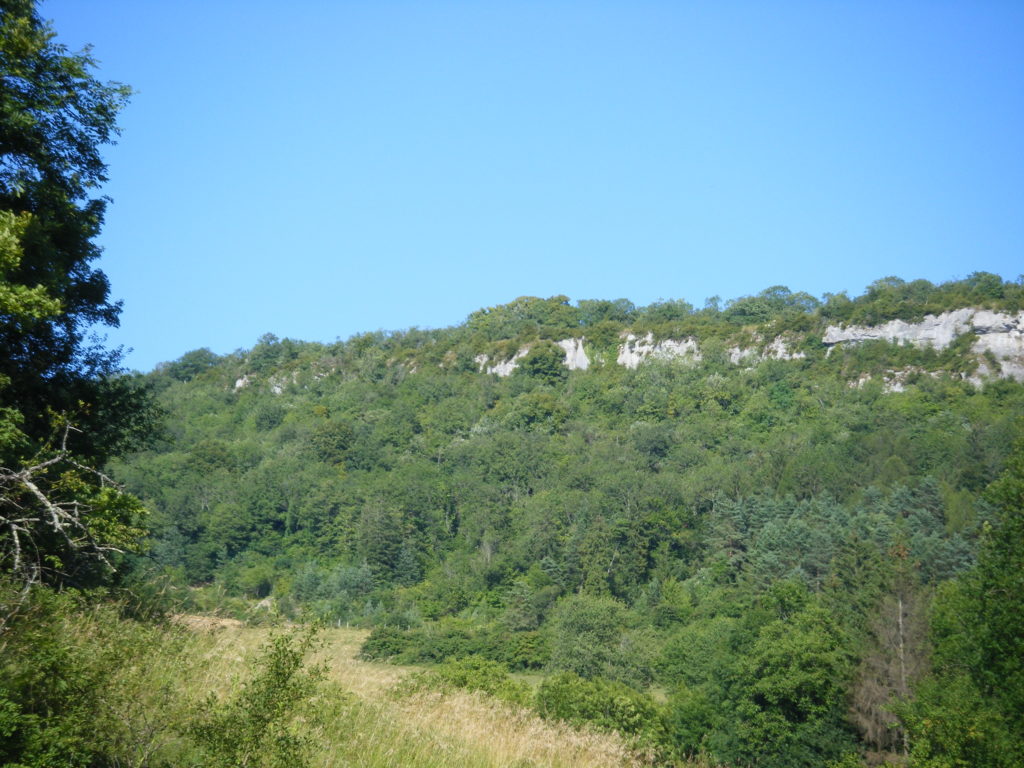 La roche Saint-Maurice à Villechantria et les 3 tilleuls templiers